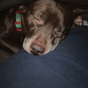 Meet your Posher, Edward